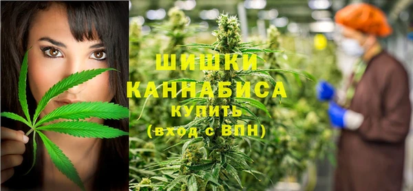 дурь Мегион
