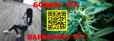 молекула духа Гатчина