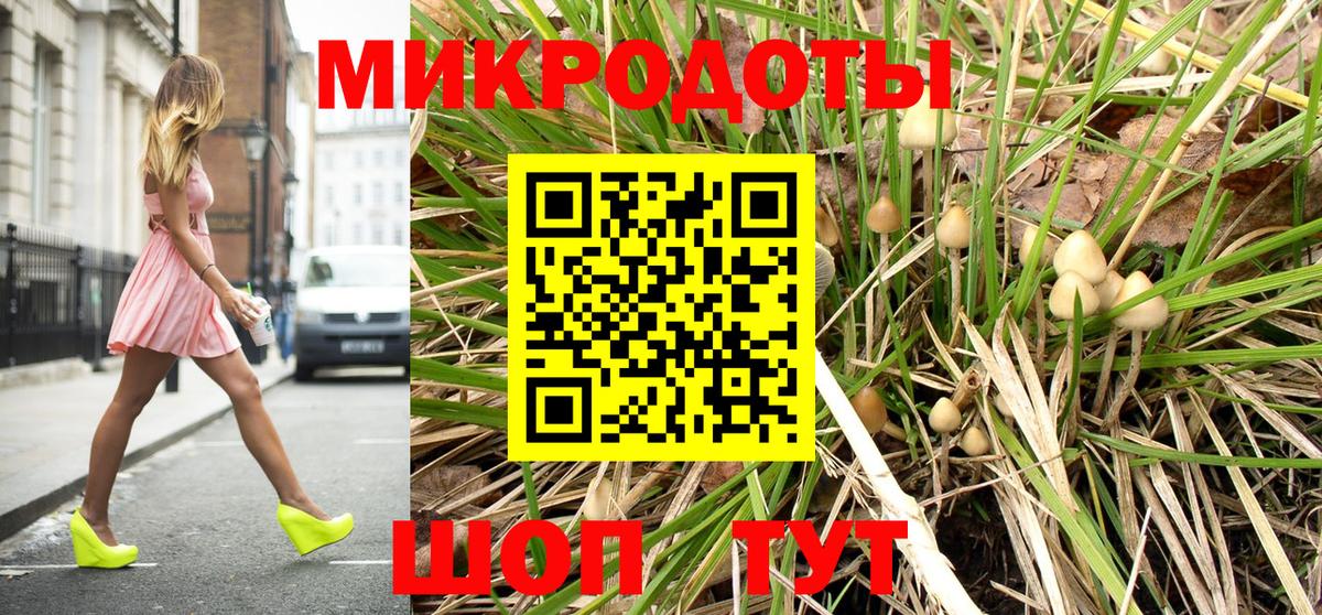 Псилоцибиновые грибы мицелий Камышлов