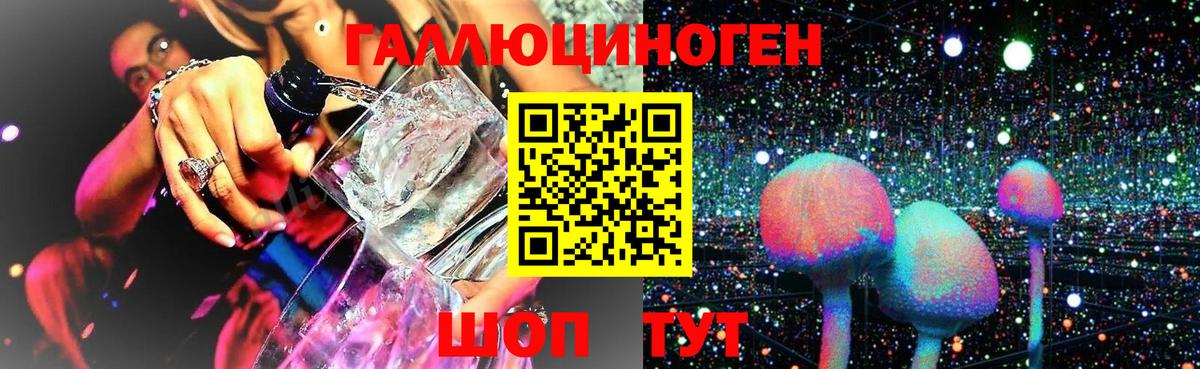 Галлюциногенные грибы MAGIC MUSHROOMS  даркнет сайт  Камышлов 