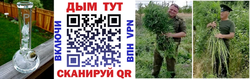 Шишки марихуана план  Камышлов 