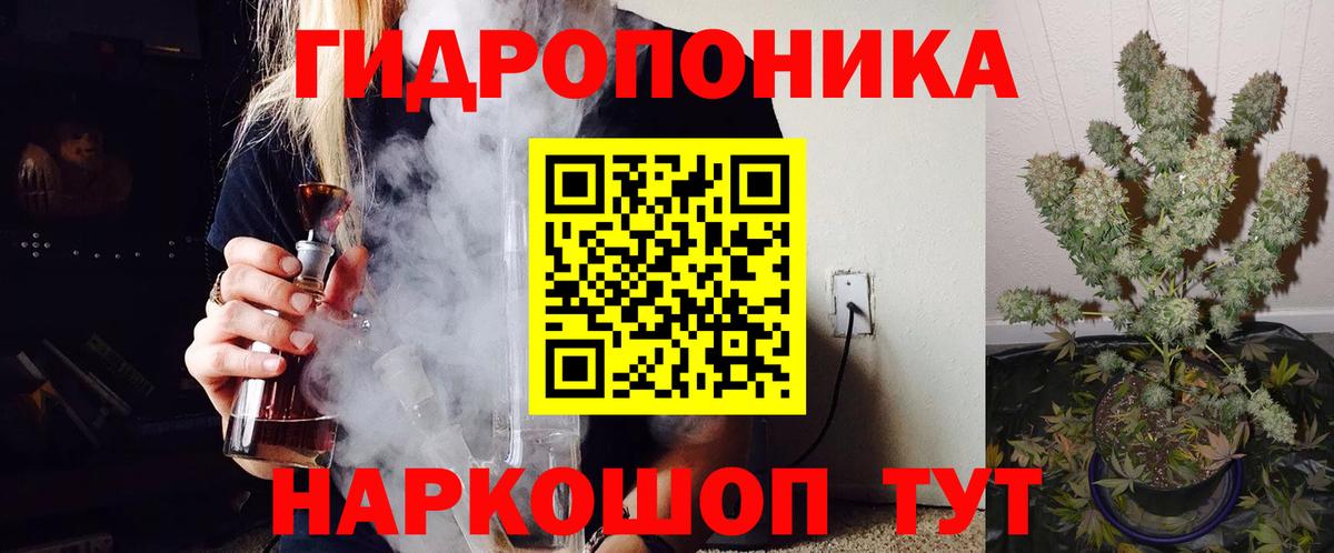 Конопля гибрид Камышлов